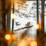 A Unique Lakeside * Rovaniemi