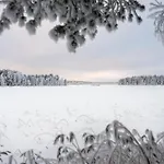 A Unique Lakeside Lomamökit Rovaniemi