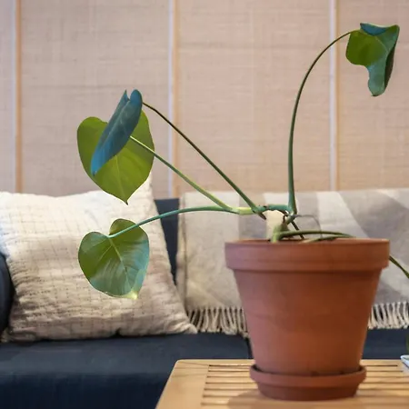 A Unique Lakeside Alpehytte Rovaniemi